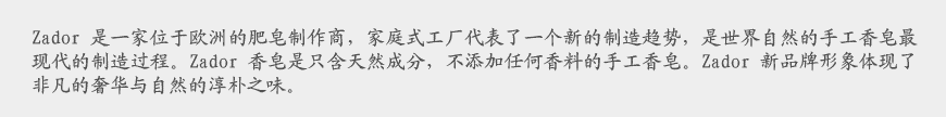 歐洲化工企業(yè)VI設(shè)計(jì)的匠心調(diào)性-2